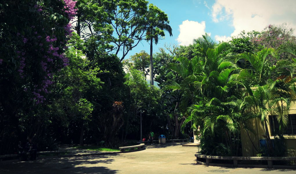 Escuela de Computación